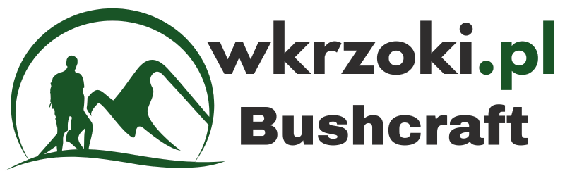 wkrzoki.pl